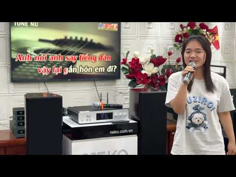 Combo karaoke công suất liền vang liền micro AK3600 kết hợp loa cây HE220