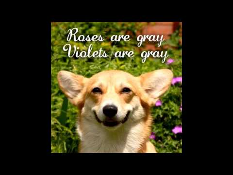 Nicki Minaj vs Madeon vs Axwell & Sebastian Ingrosso vs John Dahlback (Random Zalex Mashup)