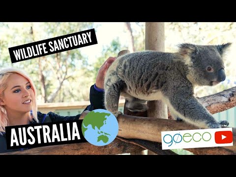 GoEco Australia Wild Animal Sanctuary