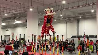 [4K]  🇲🇾 Da Peng Nam Wah Pai 大鹏南华派@ 2026 Antica Cup 新马高桩争霸赛 Acrobatic Lion Dance Comp 22 Aug 2026
