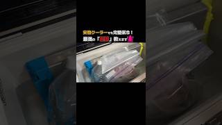 【イカメタル】高いクーラーは不要！安物でも鮮度MAXの「5℃」を作る最強の配置術🦑 #オモリグ #釣り初心者