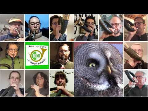 "Waldkauzpolka" von H.Ebneter