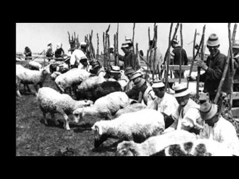 A oilor / Sheep's tune