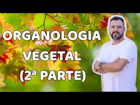Organologia Vegetal - Caules (2ª parte)