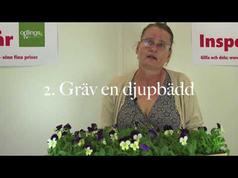 Självhushåll Eva Sultzer s 3 snabba tips hur du kommer igång med eget självhushåll