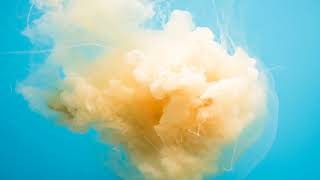 ♫ Lemaitre - Rocket Girl (feat. Betty Who)