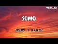 Driemo Ft M Kay Cee SUMU Lyrics