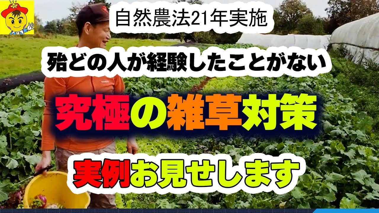 オオイヌノフグリで分かる草取り不要な土
