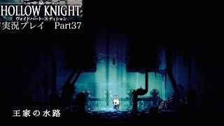 【Hollow Knight】王家の水路【独り言プレイ#37】