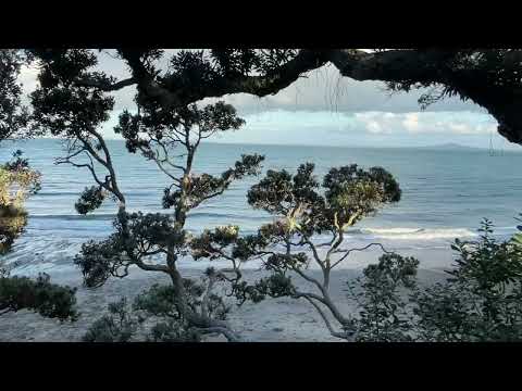 Auckland Beach