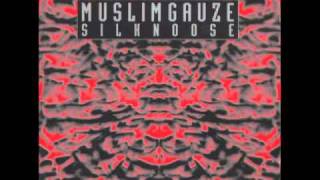 Muslimgauze - Sheesh Mahal