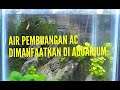 Air Ac Bisa Untuk Ikan Hias