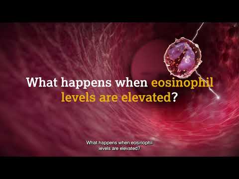 What are eosinophils?