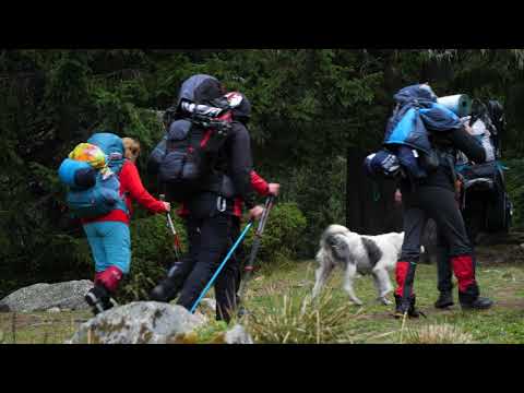 Trupa CALEnDAR - Om pe munte