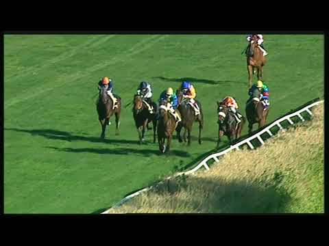 Galoppo 23/11/2020 - 2ª corsa