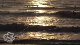 PFCFサンプル素材 011