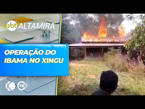 Moradores filmam ação do IBAMA na Gleba Assurini, no Pará | SBT Altamira