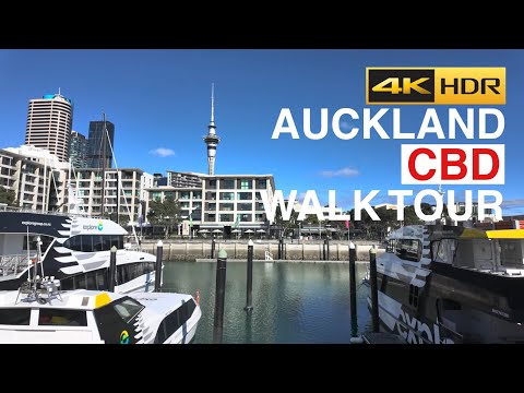 Auckland CBD Tuesday Walk New Zealand 🇳🇿 4K HDR