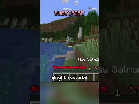 camman18 - Minecraft, But I Have To Follow The Law