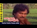 Vache Vaana Video Song Intlo Ramayya Veedhilo Krishnayya Video Songs Chiranjeevi Madhavi Vega