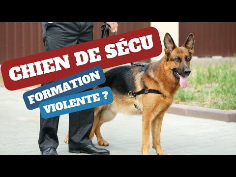 De la maltraitance non assumée ?