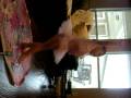 Ashley Ballerina Cinderella