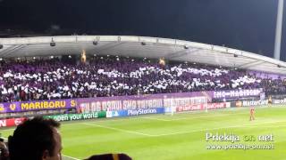 NK Maribor - FC Schalke 04