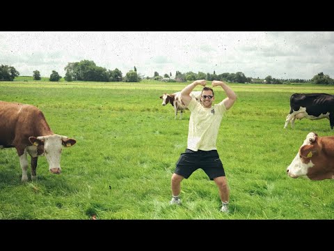 Ruthless, Dr Rude, Hans Glock - MOE (Jur Terreur Uptempo Remix)