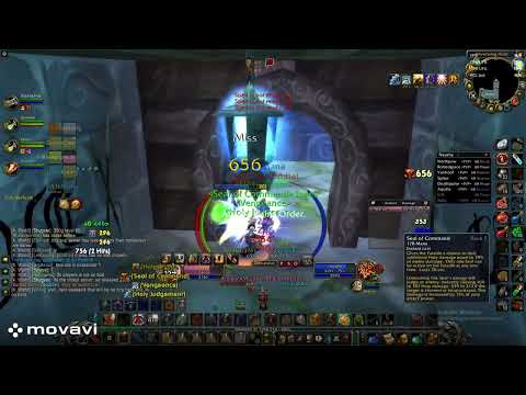 Turtle WOW,retribution paladin vs shaman in WSG