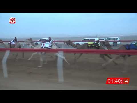  ش 4 (الرايق) لـ سيف سعيد بن غفينه النعيمي 2:54 ، شارة الصندوق 2026/08/16 فطامين الروضة