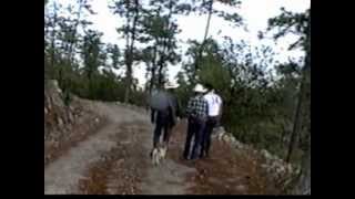 Lorenzo De Monteclaro La Carga ladeada