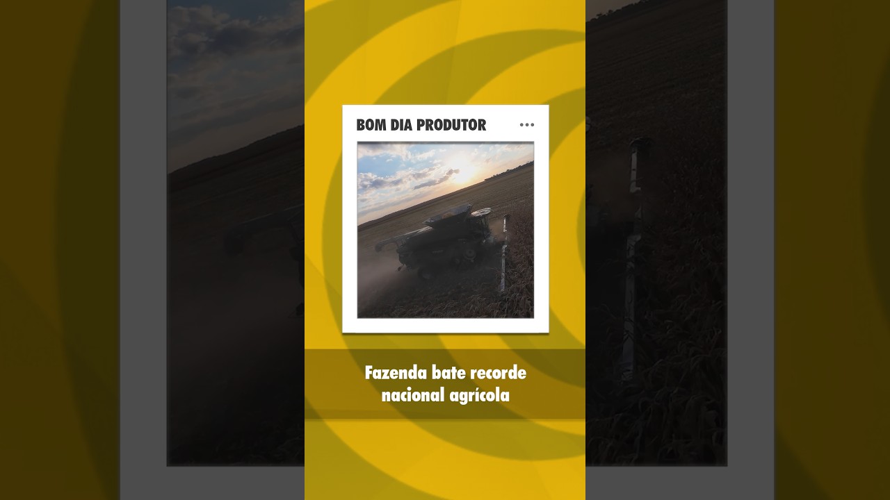 Fazenda de MS entra no livro dos recordes com colheita de 2.6 mil/t de milho 2ª safra em 24 horas
