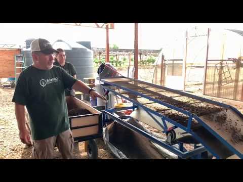 Arizona Worm Farm - Station 6 - Worm Casting Harvest