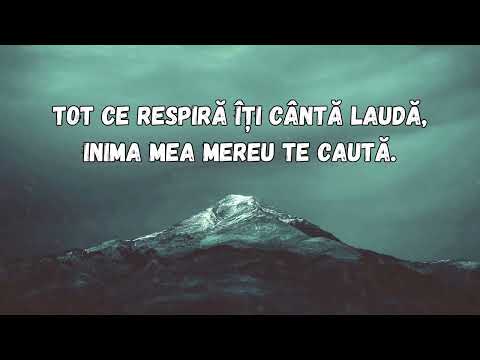 Grupul Eden - Creatorul Vietii (versuri)