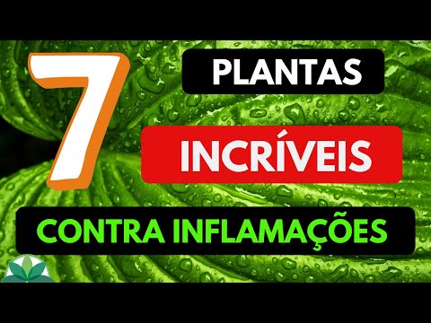 TOP 7 - Plants for inflammation