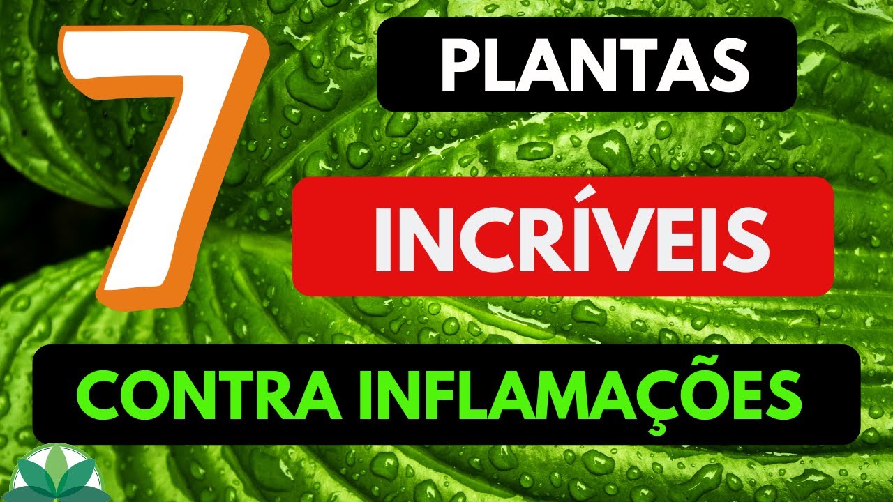 TOP 7 - Plantas para inflamações