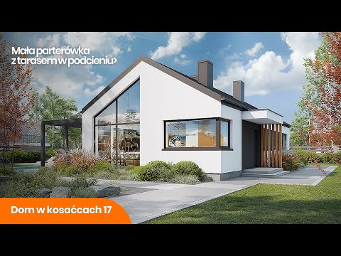 Dom w kosaćcach 17 - Nowoczesna parterówka marzeń - ARCHON+ Projekty Domów #projektdomu #dom