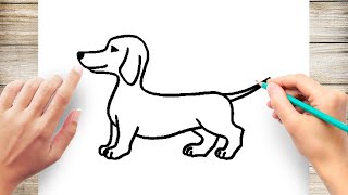 How to Draw A Dachshund Dog Step by Step