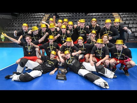 Highlights SDF-SM Final Småland - Östergötland (Innebandy/Floorball)