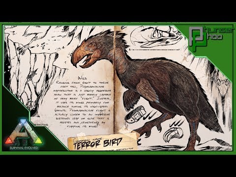 Ark basics Terror Bird - FEAR THE TERROR CHICKEN - EVERYTHING YOU NEED TO KNOW