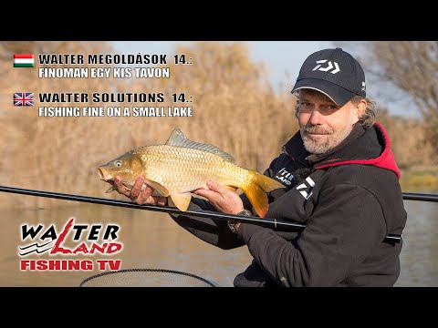 EPISODE 14: Finoman egy kis tavon - Fishing fine on a small lake