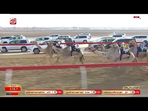 ش 10 (راهي) لـ صبيح حمد بن سالم حمود الوهيبي 5:46:95 ، مهرجان ختامي الوثبة 2026/02/27 حقايق