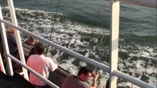 preview picture of video '4 pvsfilm. Makreel vissen, Rederij Trip, Peter van Scheijndel'