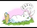 The Tortoise And The Hare