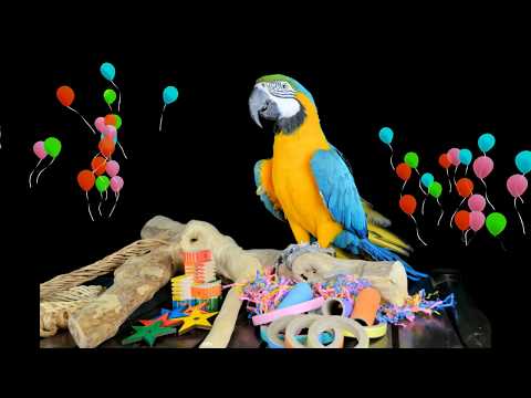 dieca bestaat 15 jaar en daar zijn we trots op!