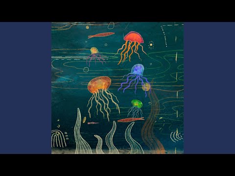 Video thumbnail for Jellyfish Reef