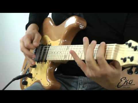 Massimo Varini presenta Eko Guitars AIRE STD