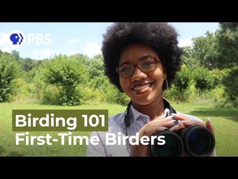 First-Time Birders | Birding 101 with Sheridan Alford