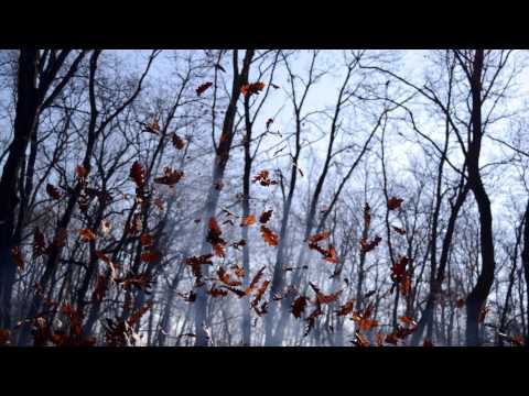 But The Wind Was Stronger video thumbnail