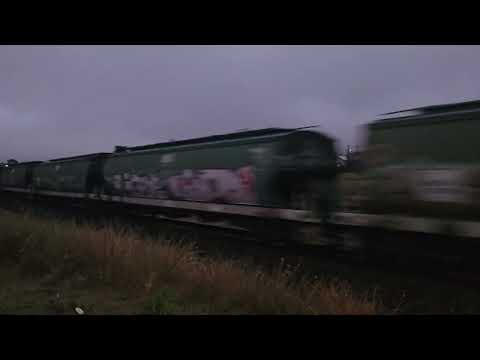 7733V PN empty grain to Murtoa Siding, 1740, 8/7/24, Stawell VIC